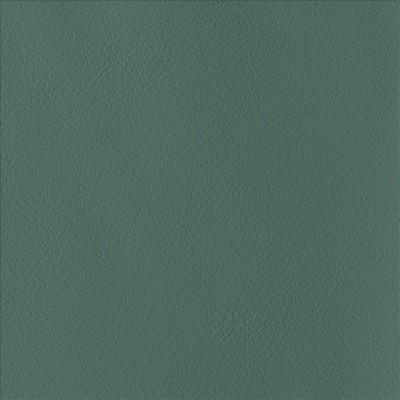 Kasmir BY DESIGN        AMAZON          